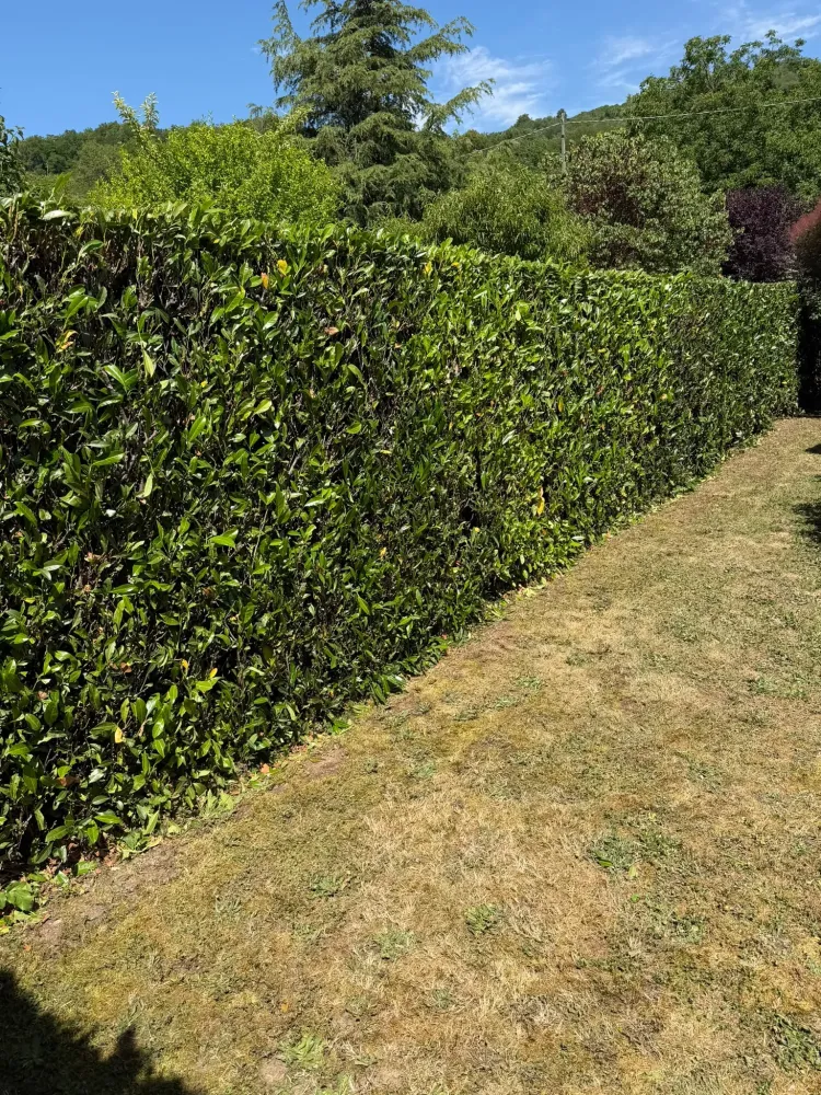 terrassement entreprise AB travaux publics (1)