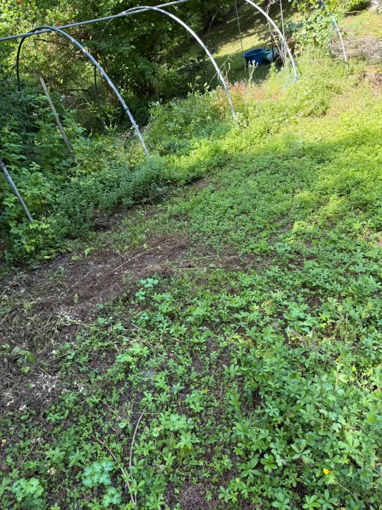 terrassement entreprise AB travaux publics (2)