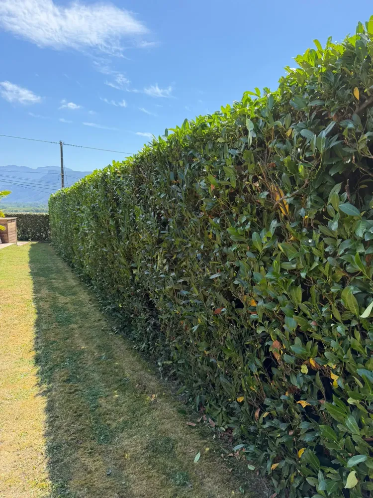 terrassement entreprise AB travaux publics (12)