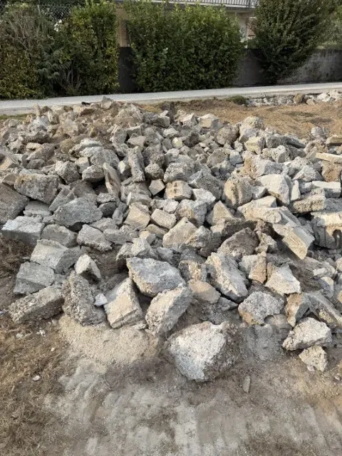 image00009 (web)